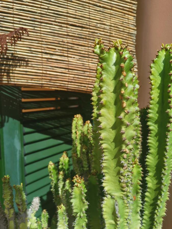 Paradise Villa Corralejo Bagian luar foto